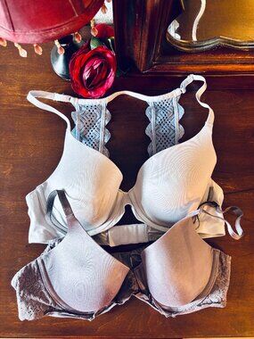Lot of 2 aerie bras, both 'Sunnie Full Coverage', 34C
